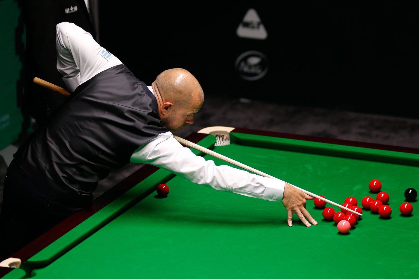 领域的卓越 领域的卓越