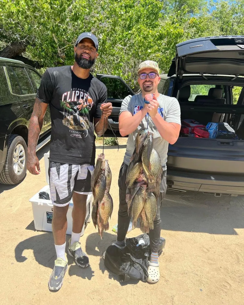 金的支持 金的支持