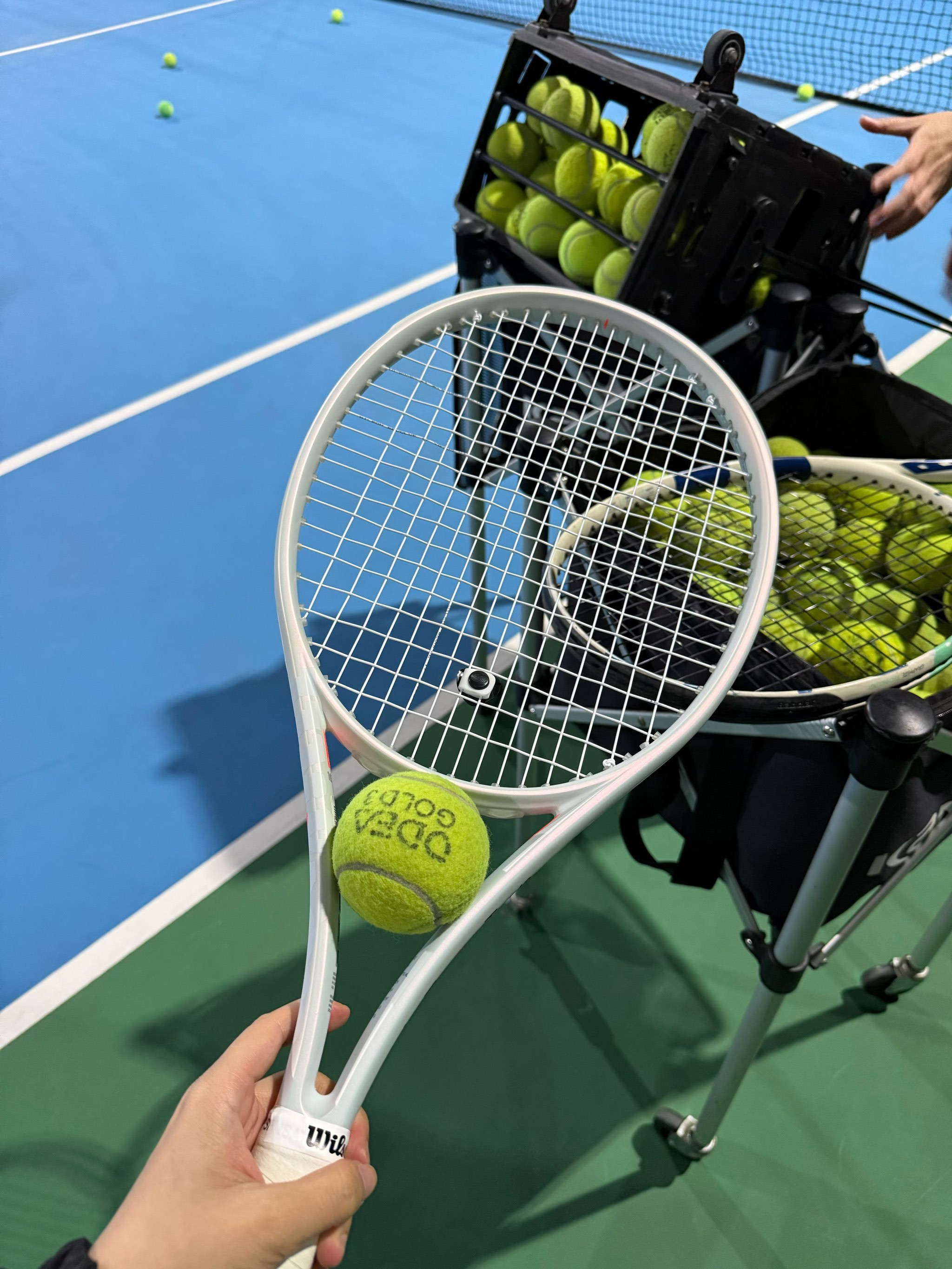 对手的二号 对手的二号